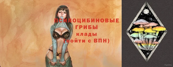 дурь Фурманов
