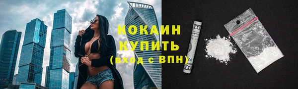 гидра Гусиноозёрск
