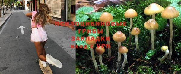 гидра Гусиноозёрск