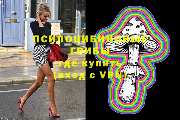 первитин Медвежьегорск