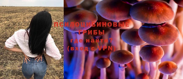 гидра Гусиноозёрск