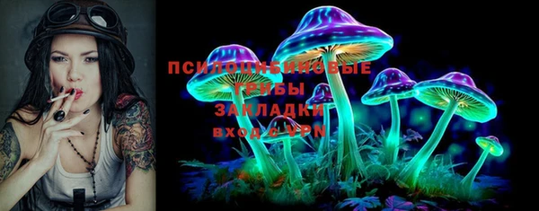 СК Гусь-Хрустальный
