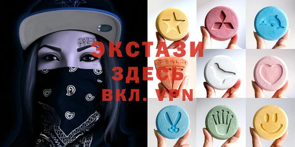 гидра Гусиноозёрск