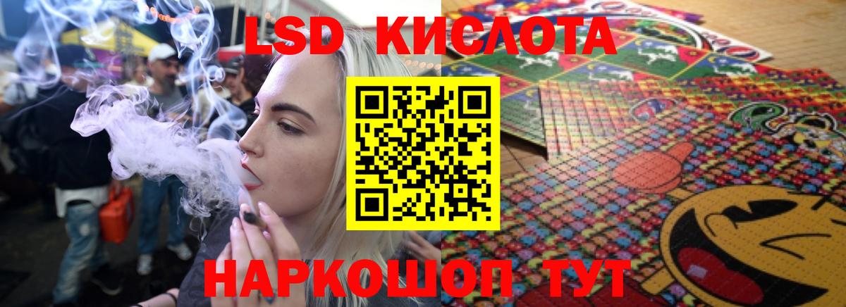 Псилоцибиновые грибы Можайск