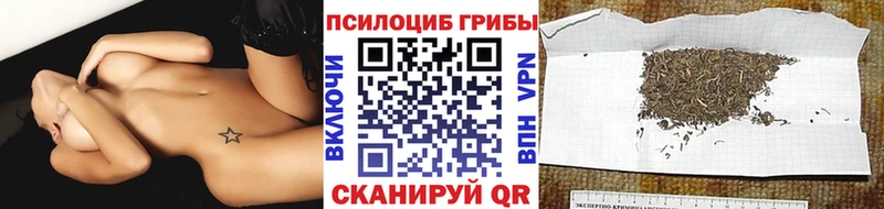 наркотики  Можайск  Псилоцибиновые грибы мухоморы 